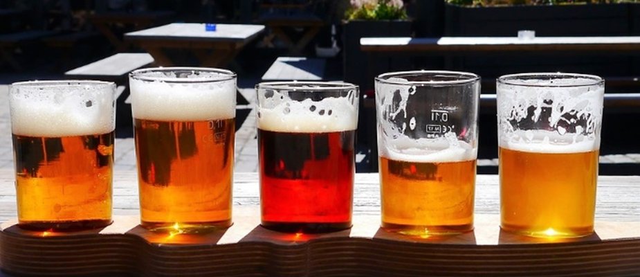 Quais tipos de Cerveja Quais tipos de Cerveja